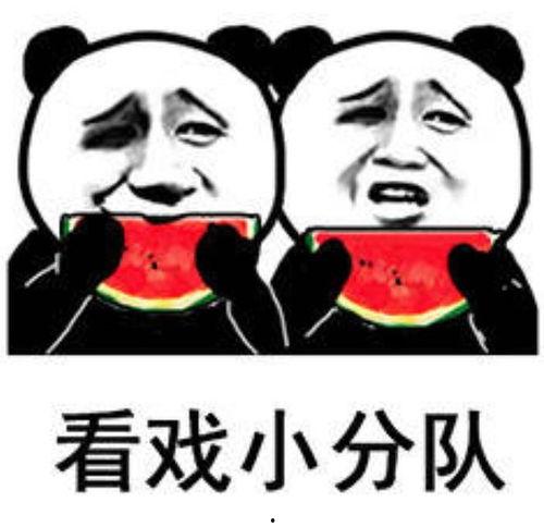 娱乐圈吃瓜表情图